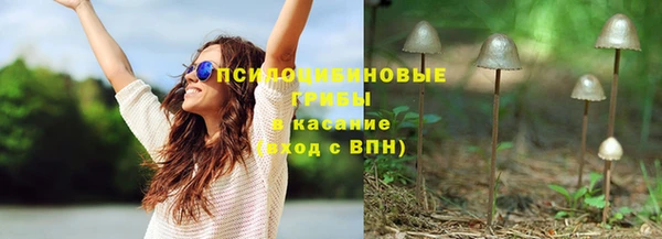 спайс Алексеевка