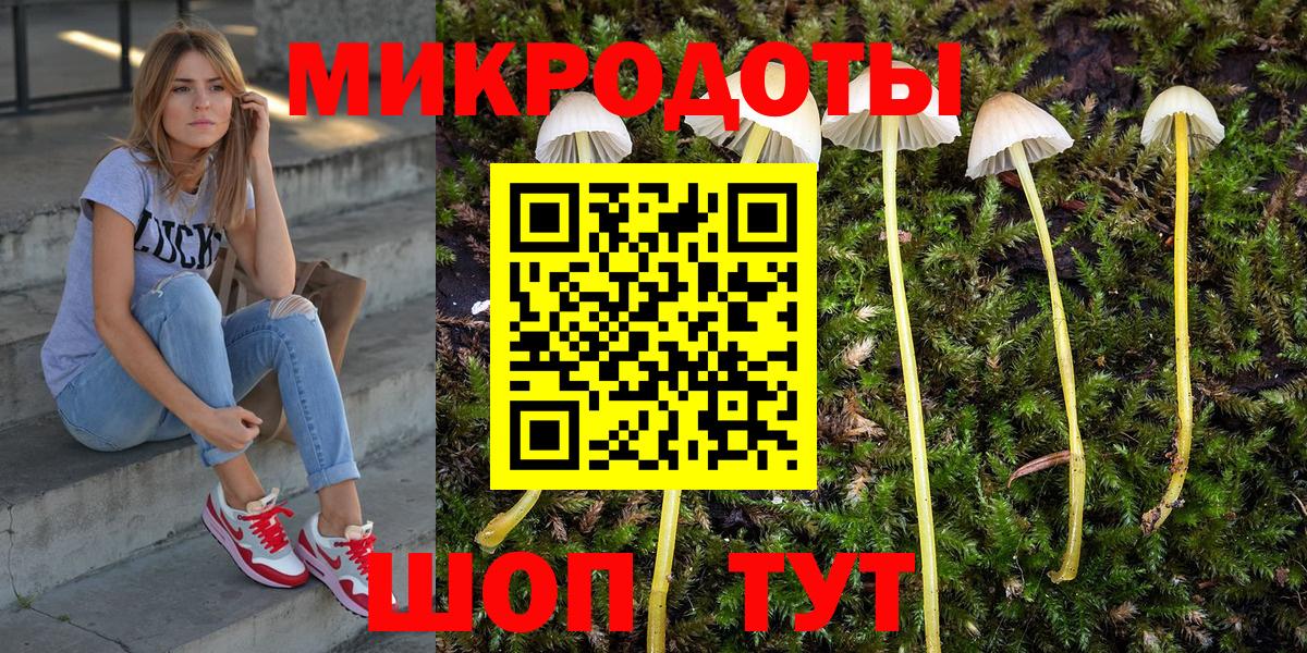 Псилоцибиновые грибы Psilocybe  где можно купить   Карачаевск  Вход с VPN  Псилоцибиновые грибы мухоморы 