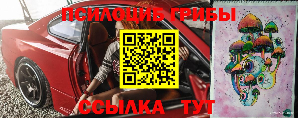 Псилоцибиновые грибы мухоморы Карачаевск