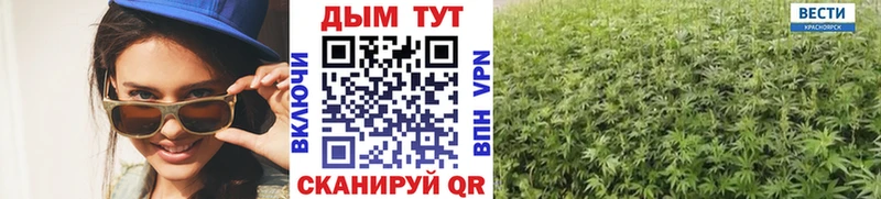 Каннабис план  Карачаевск 